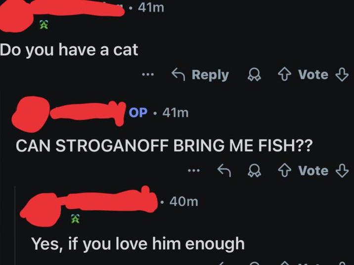 41m Do you have a cat Reply & Vote ↓ + OP • 41m CAN STROGANOFF BRING ME FISH?? • 40m A Yes, if you love him enough Vote