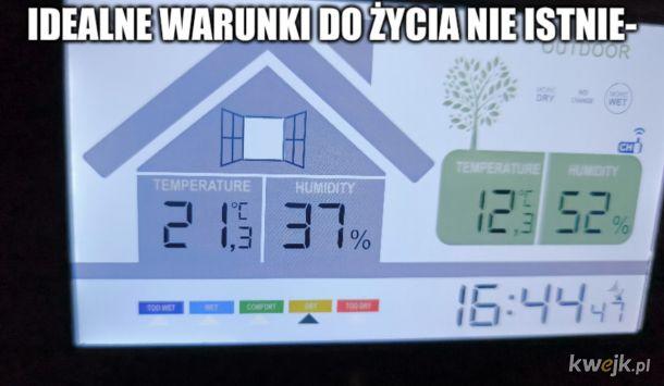 IDEALNE WARUNKI DO ŻYCIA NIE ISTNIE- OUTDOOR WET TEMPERATURE HUMIDITY 26 37% LSM 1000 COMPORT TEMPERATURE HUMIDITY 12% 52% 15:44 kwejk.pl