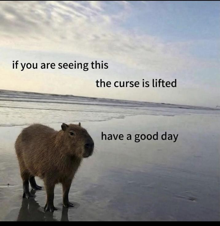 if you are seeing this the curse is lifted have a good day