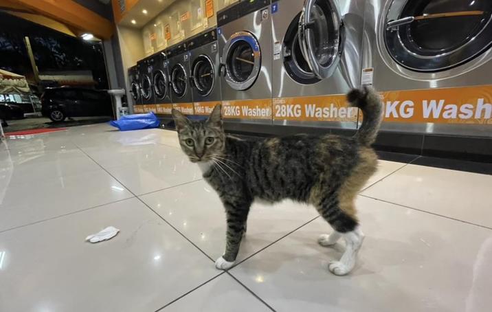 2 KG Washer 28KG Washer KG Wash