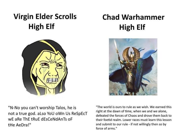 Virgin Elder Scrolls High Elf Chad Warhammer High Elf "N-No you can't worship Talos, he is not a true god. also YoU oWn Us ReSpEcT WE aRe ThE tRuE dEsCeNdAnTs oF tHe AeDra!" "The world is ours to rule as we wish. We earned this right at the dawn of time, when we and we alone, defeated the forces of Chaos and drove them back to their foetid realm. Lower races must learn this lesson and submit to our rule - if not willingly then so by force of arms."