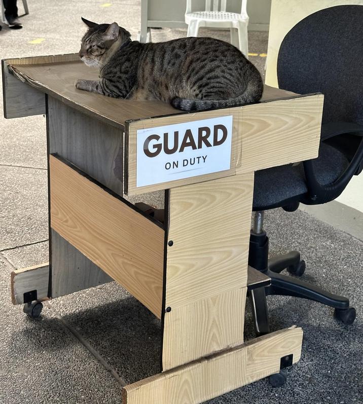 GUARD ON DUTY