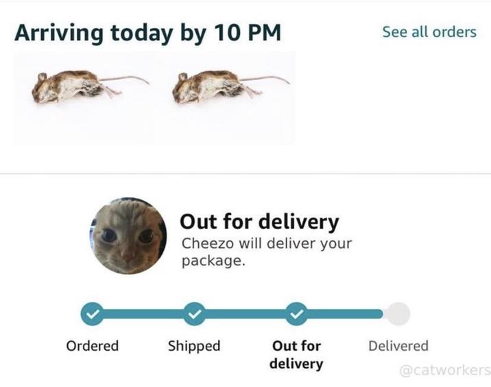 Arriving today by 10 PM See all orders Out for delivery Cheezo will deliver your package. Ordered Shipped Out for delivery Delivered @catworkers