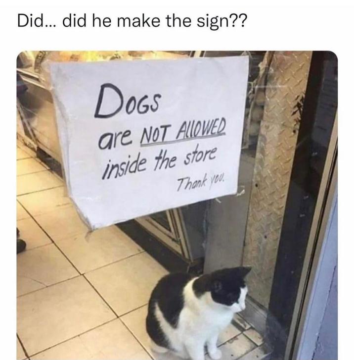 Did... did he make the sign?? DOGS are NOT ALLOWED inside the store Thank you