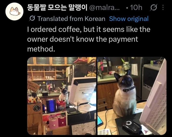 Po @malra....10h ØB Translated from Korean Show original I ordered coffee, but it seems like the owner doesn't know the payment method. 충전기 F આક્રમક ય Cafe Male Valent