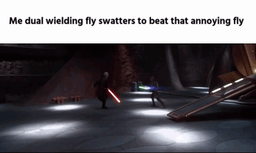 Me dual wielding fly swatters to beat that annoying fly
