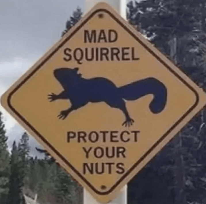 MAD SQUIRREL PROTECT YOUR NUTS