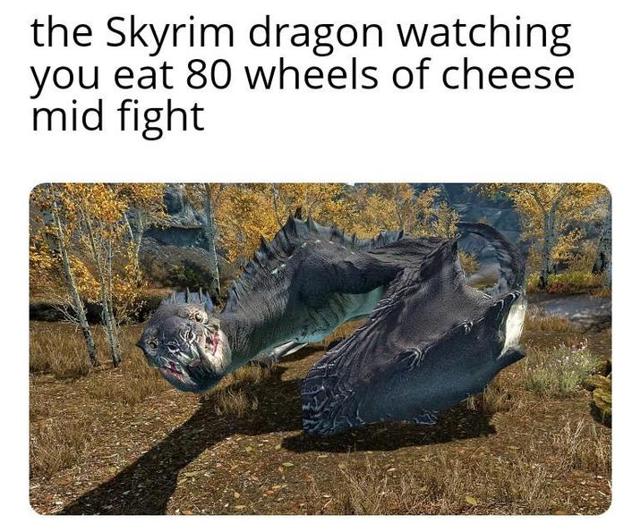 the Skyrim dragon watching you eat 80 wheels of cheese mid fight