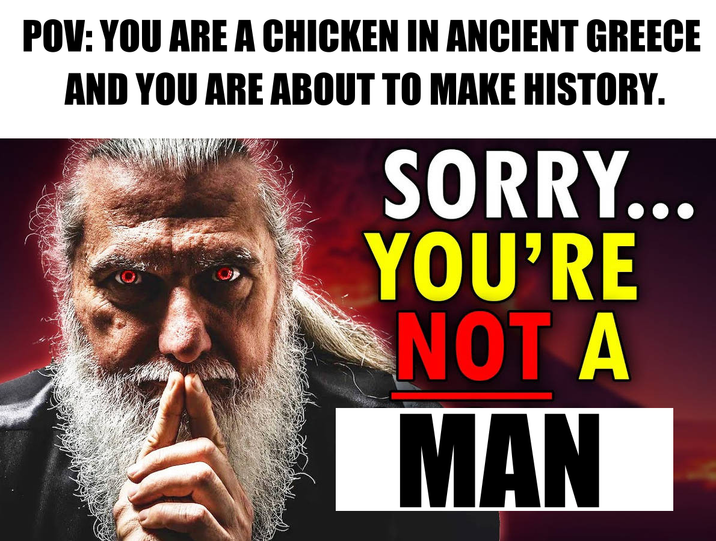 POV: YOU ARE A CHICKEN IN ANCIENT GREECE AND YOU ARE ABOUT TO MAKE HISTORY. SORRY... YOU'RE NOT A MAN