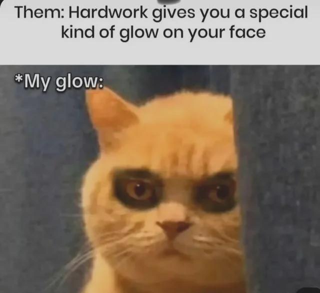 Them: Hardwork gives you a special kind of glow on your face *My glow: