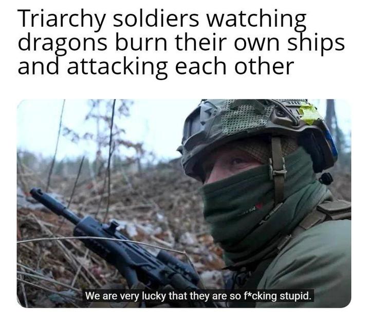 Triarchy soldiers watching dragons burn their own ships and attacking each other We are very lucky that they are so f*cking stupid.