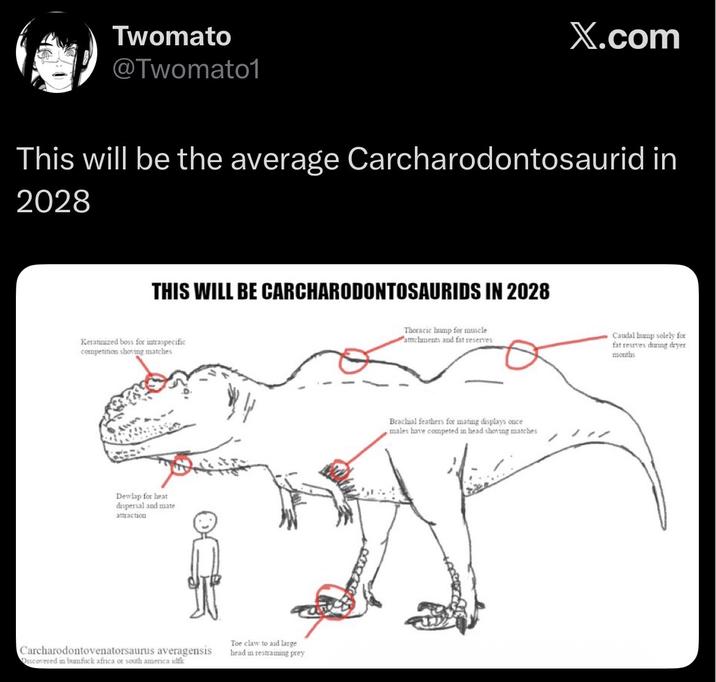 Twomato @Twomato1 X.com This will be the average Carcharodontosaurid in 2028 THIS WILL BE CARCHARODONTOSAURIDS IN 2028 Keratinized boss for intraspecific competition shoving matches Dewlap for heat dispersal and mate attraction Carcharodontovenatorsaurus averagensis Discovered in b------ africa or south america idfk Toe claw to aid large head in restraining prey Thoracic hump for muscle atttchments and fat reserves Brachial feathers for mating displays once males have competed in head shoving matches Caudal lamp solely for fat resrves during dryer months