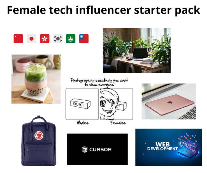 Female tech influencer starter pack Photographing something you want to show everyone OBJECT Males Females CURSOR WEB DEVELOPMENT