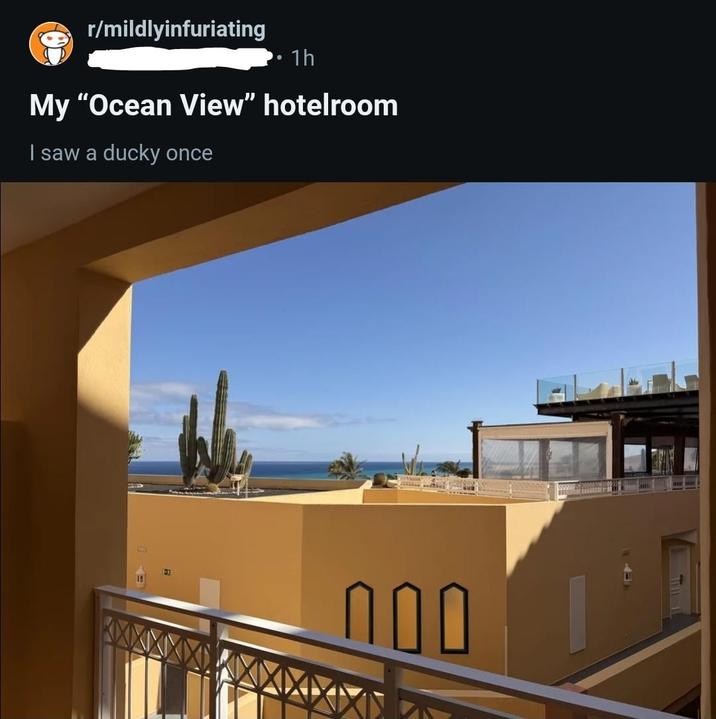r/mildlyinfuriating • 1h My "Ocean View" hotelroom I saw a ducky once 1-3 000