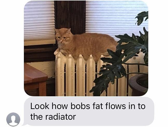 Look how bobs fat flows in to the radiator
