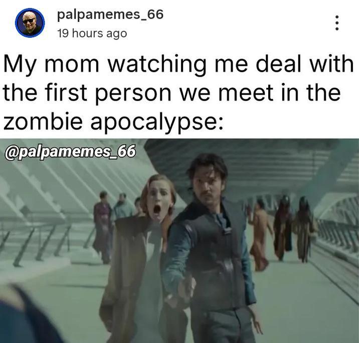 palpamemes_66 19 hours ago ... My mom watching me deal with the first person we meet in the zombie apocalypse: @palpamemes_66
