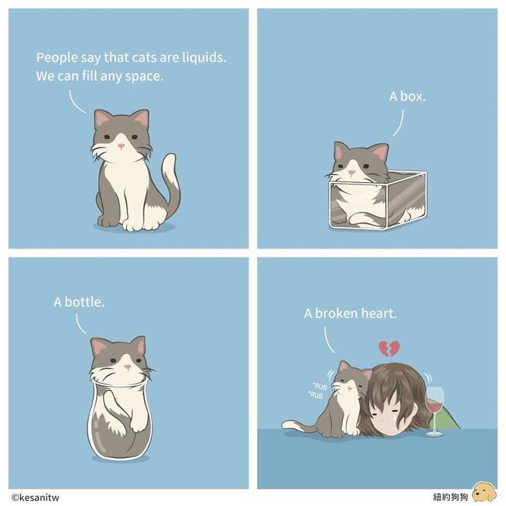 People say that cats are liquids. We can fill any space. A bottle. Okesanitw A box. A broken heart. *RUB "RUB 紐約狗狗