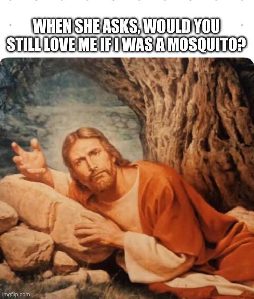 WHEN SHE ASKS, WOULD YOU STILL LOVE ME IF I WAS A MOSQUITO? imgflip.com