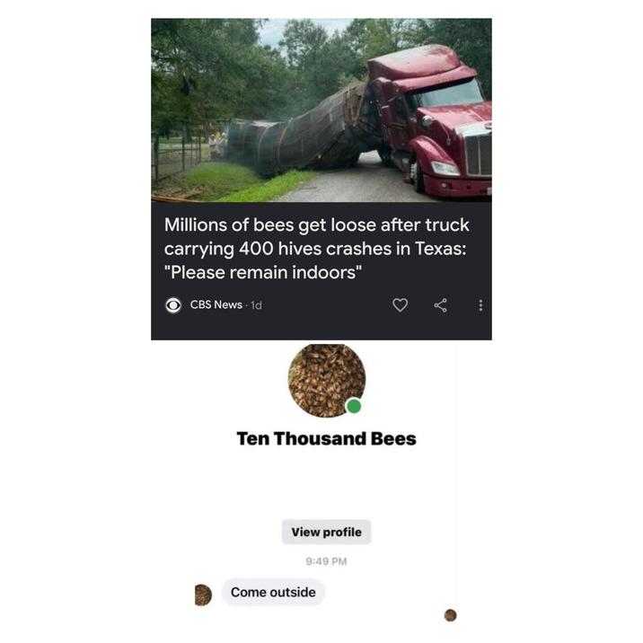 Millions of bees get loose after truck carrying 400 hives crashes in Texas: "Please remain indoors" CBS News 1d Ten Thousand Bees View profile 9:49 PM Come outside