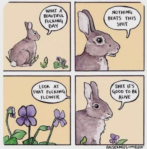 WHAT A BEAUTIFUL F------ DAY NOTHING BEATS THIS S--- LOOK AT THAT F------ FLOWER S--- IT'S GOOD TO BE ALIVE FALSEKNEES.COM ©201