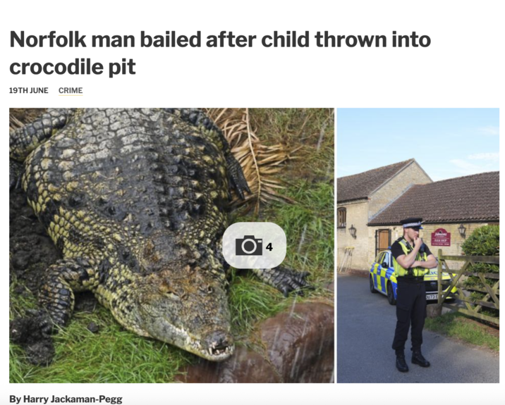 Norfolk man bailed after child thrown into crocodile pit 19TH JUNE CRIME By Harry Jackaman-Pegg O4 Janions AD SP DU73 E