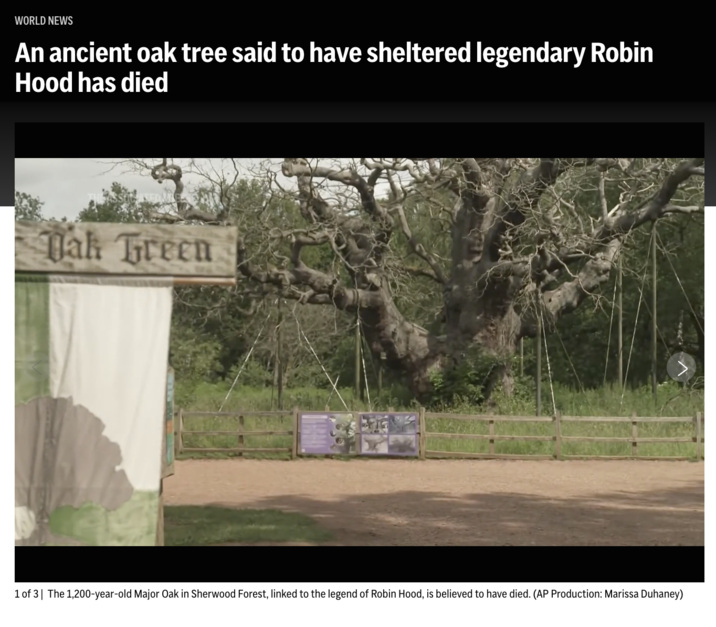 WORLD NEWS An ancient oak tree said to have sheltered legendary Robin Hood has died Dak Green 1 of 3 The 1,200-year-old Major Oak in Sherwood Forest, linked to the legend of Robin Hood, is believed to have died. (AP Production: Marissa Duhaney)