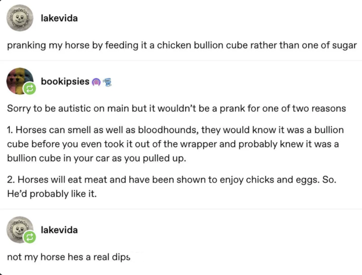 lakevida pranking my horse by feeding it a chicken bullion cube rather than one of sugar bookipsies g Sorry to be autistic on main but it wouldn't be a prank for one of two reasons 1. Horses can smell as well as bloodhounds, they would know it was a bullion cube before you even took it out of the wrapper and probably knew it was a bullion cube in your car as you pulled up. 2. Horses will eat meat and have been shown to enjoy chicks and eggs. So. He'd probably like it. lakevida not my horse hes a real dips