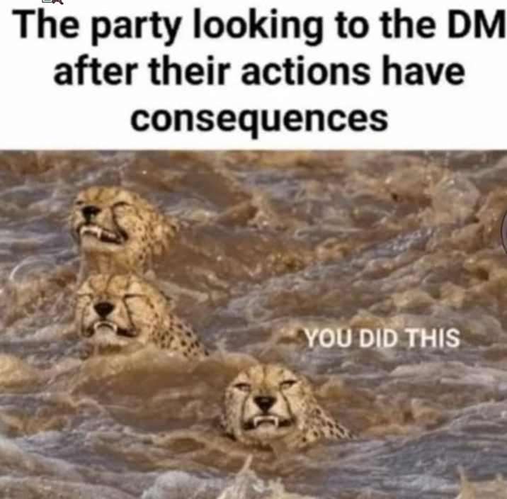 The party looking to the DM after their actions have consequences YOU DID THIS