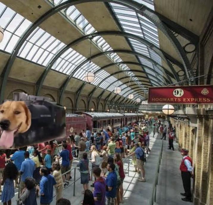 6 HOGWARTS EXPRESS
