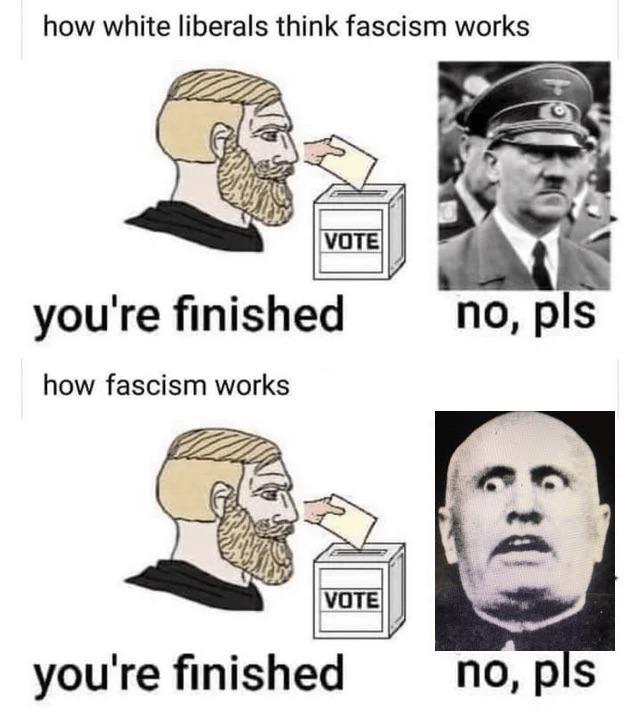 how white liberals think fascism works VOTE you're finished how fascism works no, pls VOTE you're finished no, pls