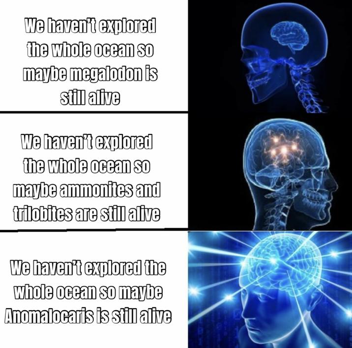 We haven't explored the whole ocean so maybe megalodon is still alive We haven't explored the whole ocean so maybe ammonites and trilobites are still alive We haven't explored the whole ocean so maybe Anomalocaris is still alive