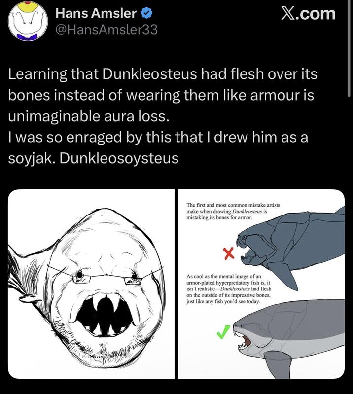 Hans Amsler ❤ @HansAmsler33 X.com Learning that Dunkleosteus had flesh over its bones instead of wearing them like armour is unimaginable aura loss. I was so enraged by this that I drew him as a soyjak. Dunkleosoysteus The first and most common mistake artists make when drawing Dunkleosteus is mistaking its bones for armor. As cool as the mental image of an armor-plated hyperpredatory fish is, it isn't realistic-Dunkleosteus had flesh on the outside of its impressive bones, just like any fish you'd see today.