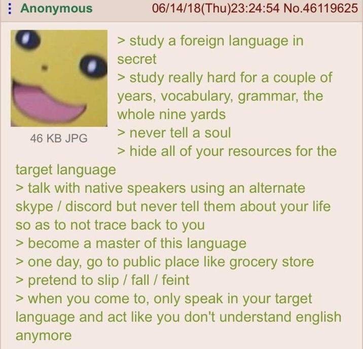 Anonymous 46 KB JPG target language 06/14/18(Thu)23:24:54 No.46119625 > study a foreign language in secret > study really hard for a couple of years, vocabulary, grammar, the whole nine yards > never tell a soul > hide all of your resources for the > talk with native speakers using an alternate skype/discord but never tell them about your life so as to not trace back to you > become a master of this language > one day, go to public place like grocery store > pretend to slip / fall / feint > when you come to, only speak in your target language and act like you don't understand english anymore