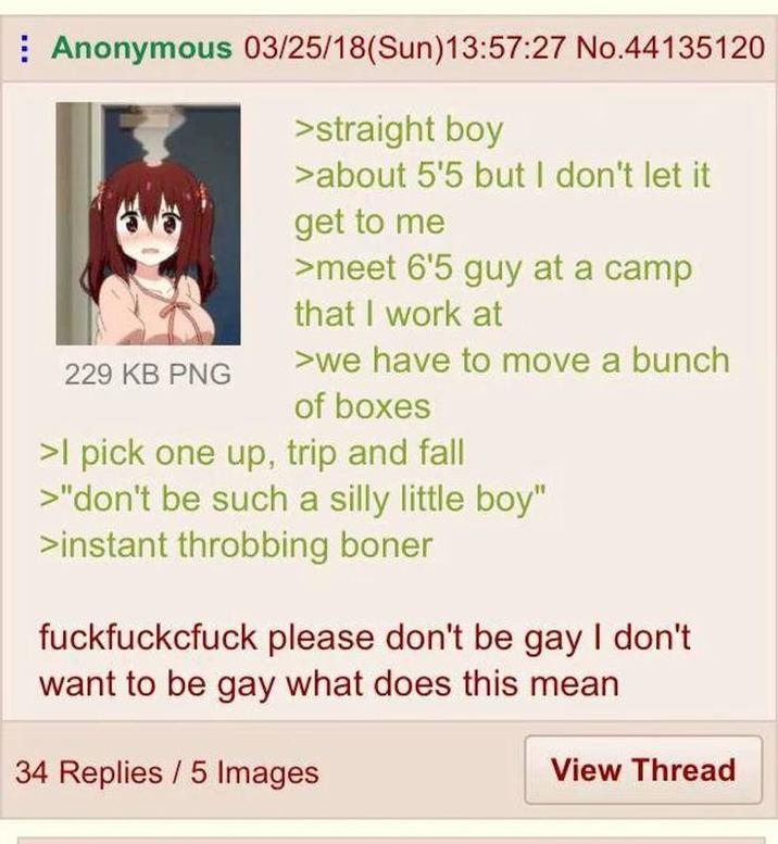 Anonymous 03/25/18(Sun)13:57:27 No.44135120 229 KB PNG >straight boy >about 5'5 but I don't let it get to me >meet 6'5 guy at a camp that I work at >we have to move a bunch of boxes >I pick one up, trip and fall >"don't be such a silly little boy" >instant throbbing boner fuckfuckcfuck please don't be gay I don't want to be gay what does this mean 34 Replies/5 Images View Thread