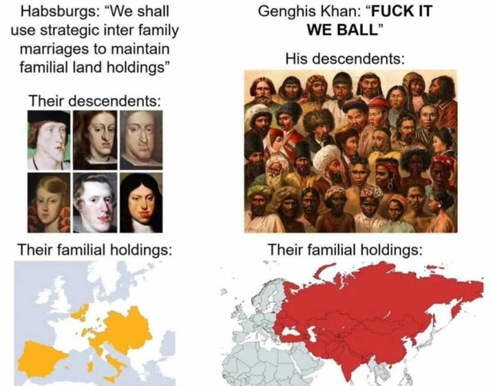 Habsburgs: "We shall use strategic inter family marriages to maintain familial land holdings" Their descendents: Genghis Khan: "F--- IT WE BALL" His descendents: Their familial holdings: Their familial holdings: