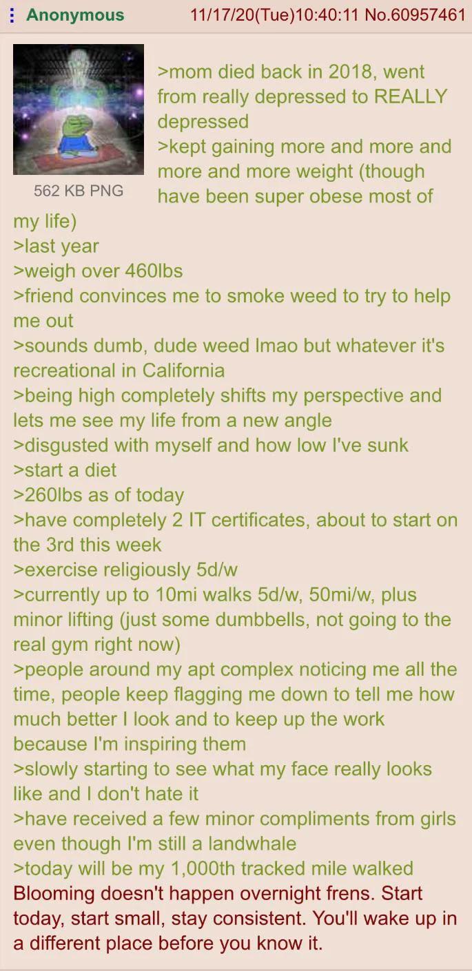 Anonymous 562 KB PNG my life) >last year 11/17/20(Tue)10:40:11 No.60957461 >mom died back in 2018, went from really depressed to REALLY depressed >kept gaining more and more and more and more weight (though have been super obese most of >weigh over 460lbs >friend convinces me to smoke weed to try to help me out >sounds dumb, dude weed Imao but whatever it's recreational in California >being high completely shifts my perspective and lets me see my life from a new angle >disgusted with myself and how low I've sunk >start a diet >260lbs as of today >have completely 2 IT certificates, about to start on the 3rd this week >exercise religiously 5d/w >currently up to 10mi walks 5d/w, 50mi/w, plus minor lifting (just some dumbbells, not going to the real gym right now) >people around my apt complex noticing me all the time, people keep flagging me down to tell me how much better I look and to keep up the work because I'm inspiring them >slowly starting to see what my face really looks like and I don't hate it >have received a few minor compliments from girls even though I'm still a landwhale >today will be my 1,000th tracked mile walked Blooming doesn't happen overnight frens. Start today, start small, stay consistent. You'll wake up in a different place before you know it.