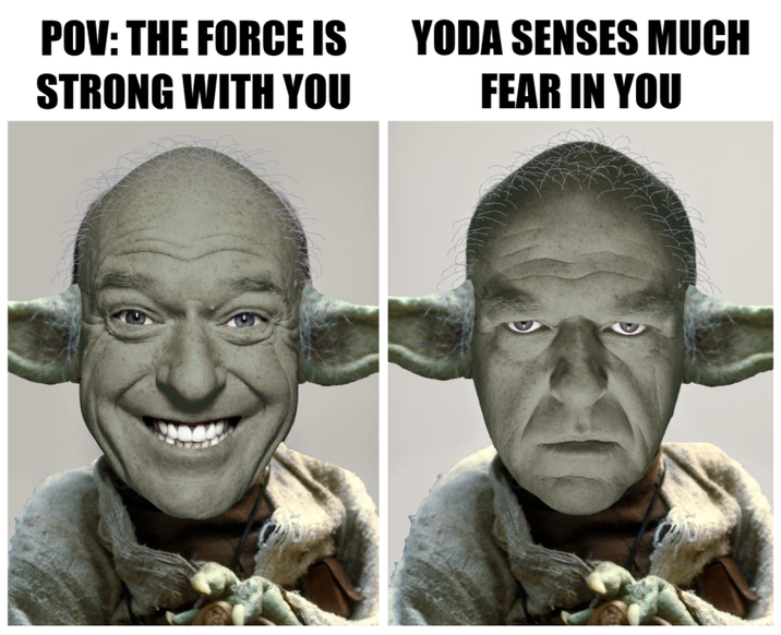 POV: THE FORCE IS YODA SENSES MUCH STRONG WITH YOU FEAR IN YOU