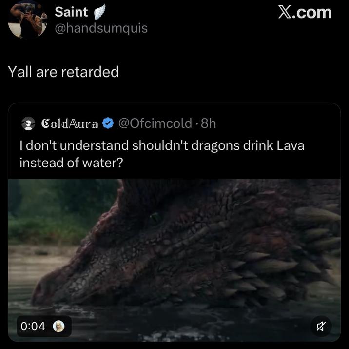 Saint @handsumquis Yall are retarded X.com ColdAura @Ofcimcold · 8h . I don't understand shouldn't dragons drink Lava instead of water? 0:04 ☑
