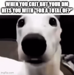 WHEN YOU CRIT BUT YOUR DM HITS YOU WITH "FOR A TOTAL OF?" imgflip.com