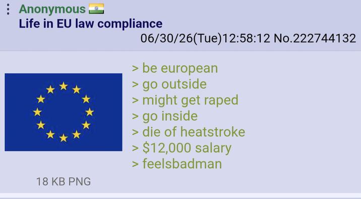 Anonymous ❤ Life in EU law compliance 18 KB PNG 06/30/26(Tue)12:58:12 No.222744132 > be european > go outside > might get r---- > go inside > die of heatstroke > $12,000 salary > feelsbadman