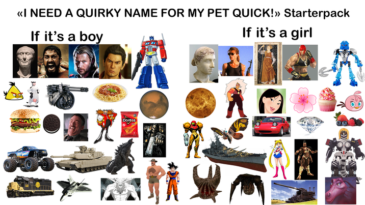 <<I NEED A QUIRKY NAME FOR MY PET QUICK!» Starterpack If it's a boy If it's a girl OVERORED 5500 NO.1 Dorites E