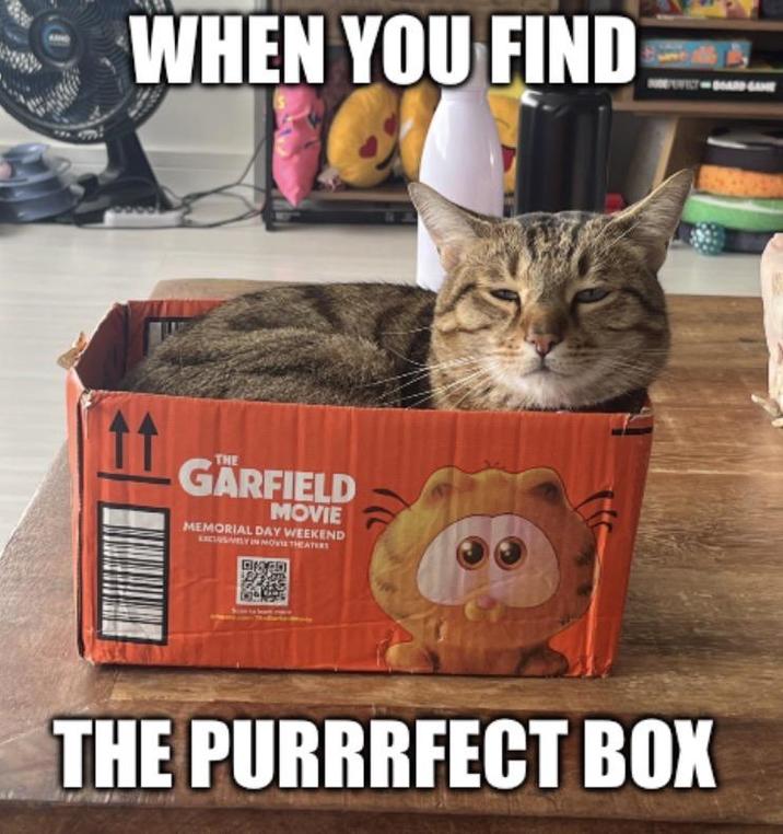 WHEN YOU FIND BOARD GAME THE GARFIELD MOVIE MEMORIAL DAY WEEKEND EXCLUSIVELY IN MOVIE THEATERS THE PURRRFECT BOX