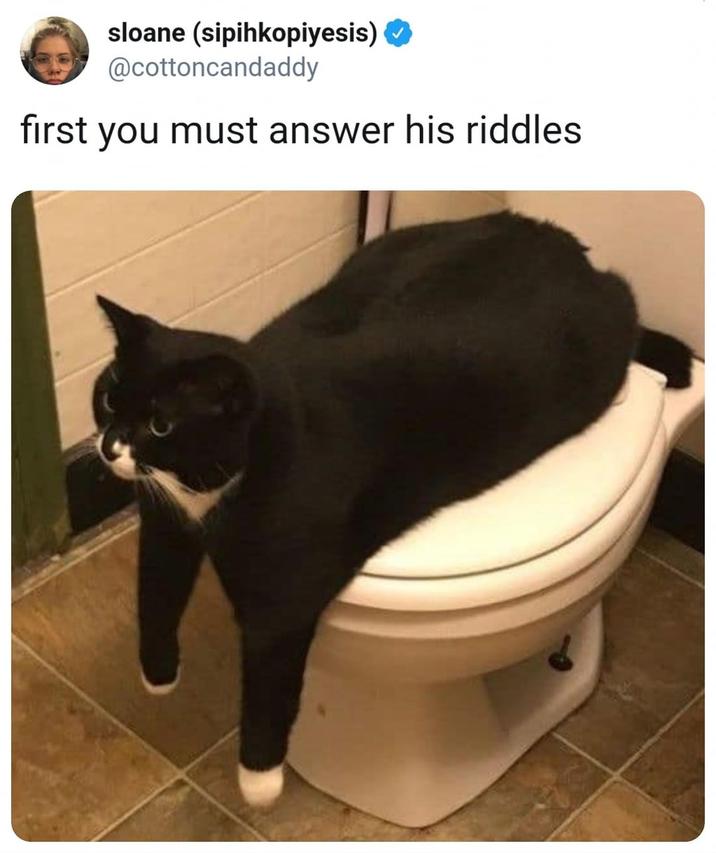 sloane (sipihkopiyesis) @cottoncandaddy first you must answer his riddles