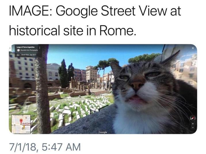 IMAGE: Google Street View at historical site in Rome. Largo di Torre Argentina Roundel Arts Photography Street View-Apr 2017 Via di Torre Argentina, Altar 7/1/18, 5:47 AM Google