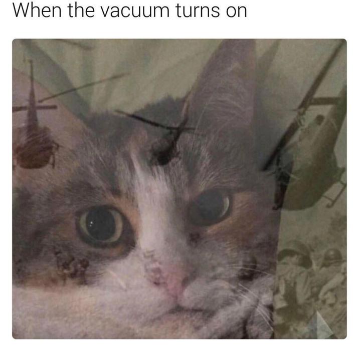 When the vacuum turns on