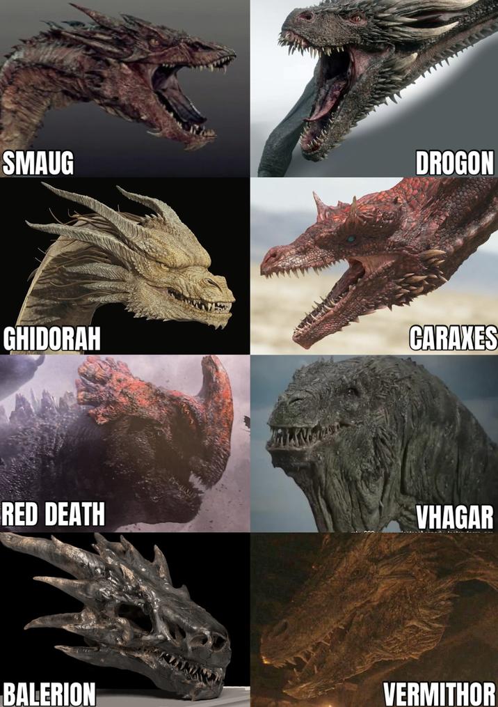 SMAUG DROGON GHIDORAH CARAXES RED DEATH VHAGAR BALERION VERMITHOR