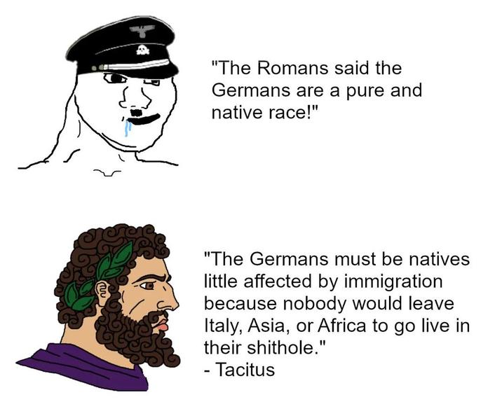 "The Romans said the Germans are a pure and native race!" "The Germans must be natives little affected by immigration. because nobody would leave Italy, Asia, or Africa to go live in their s-------." - Tacitus