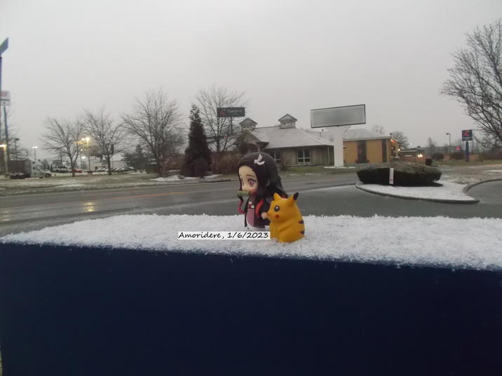 She’s usually nocturnal or crepuscular but there was cloud cover so she was outside.
