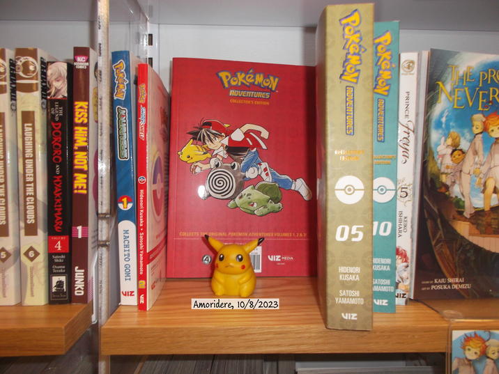 Well, I couldn’t find any re;ZERO manga but I did find some Pokémon manga and so here’s a solo shot of Sunnie with them.