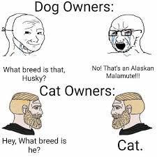 Dog Owners: What breed is that, Husky? No! That's an Alaskan Malamute!!! Cat Owners: Hey, What breed is he? Cat.